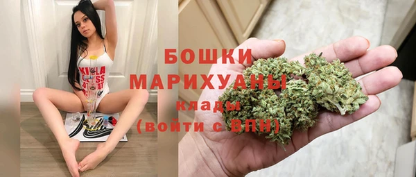 прущий лед Арсеньев