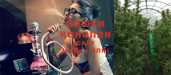 прущий лед Арсеньев