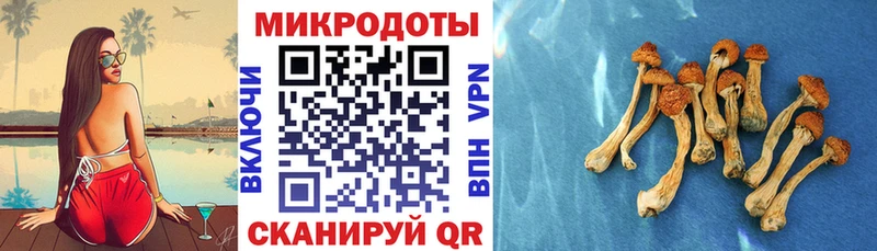 Галлюциногенные грибы прущие грибы  blacksprut ONION  Уварово 